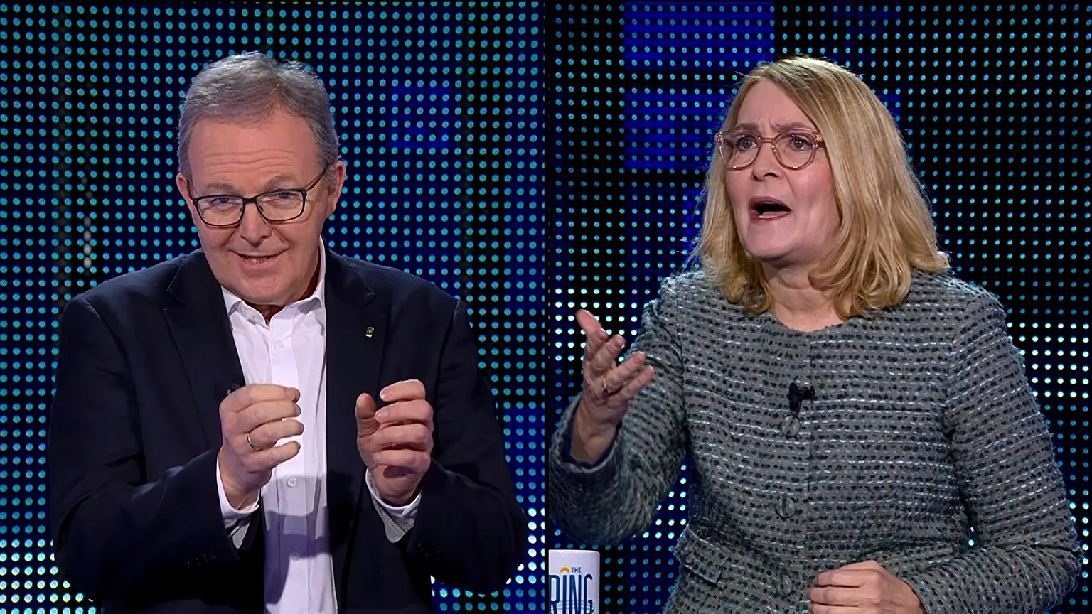 MEPs Axel Voss (EPP) and Christel Schaldemose (S&amp;D)