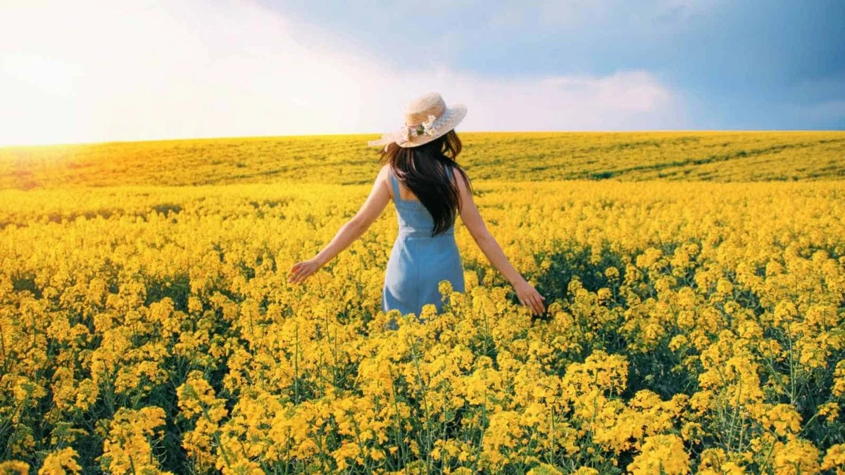 5 motivos para plantar alamanda y transformar su cerca en un muro amarelo florido - image 1