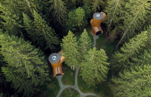 Dos edificios cilíndricos emergen de la tierra en medio de varios pinos. Los edificios parecen tuberías de cobre gigante.