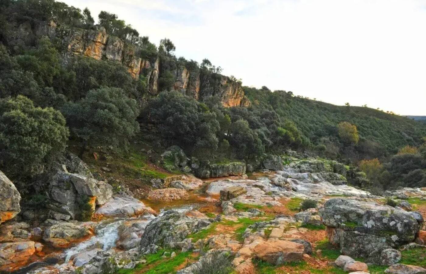Foto: Un lugar donde disfrutar aún de la naturaleza en estado virgen. (Proyecto Libera)