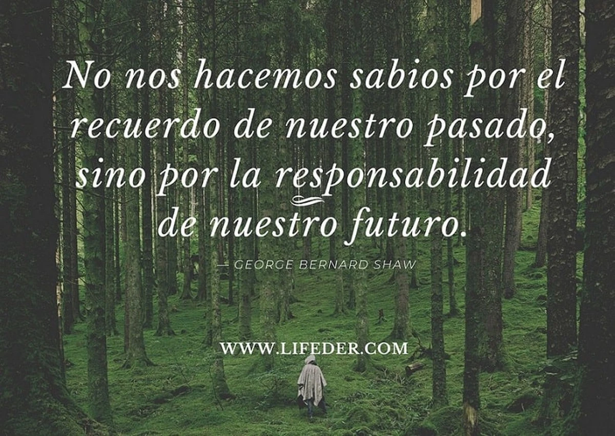 8 frases que revelan tu evasión de responsabilidades (y cómo evitarlas) - image 1