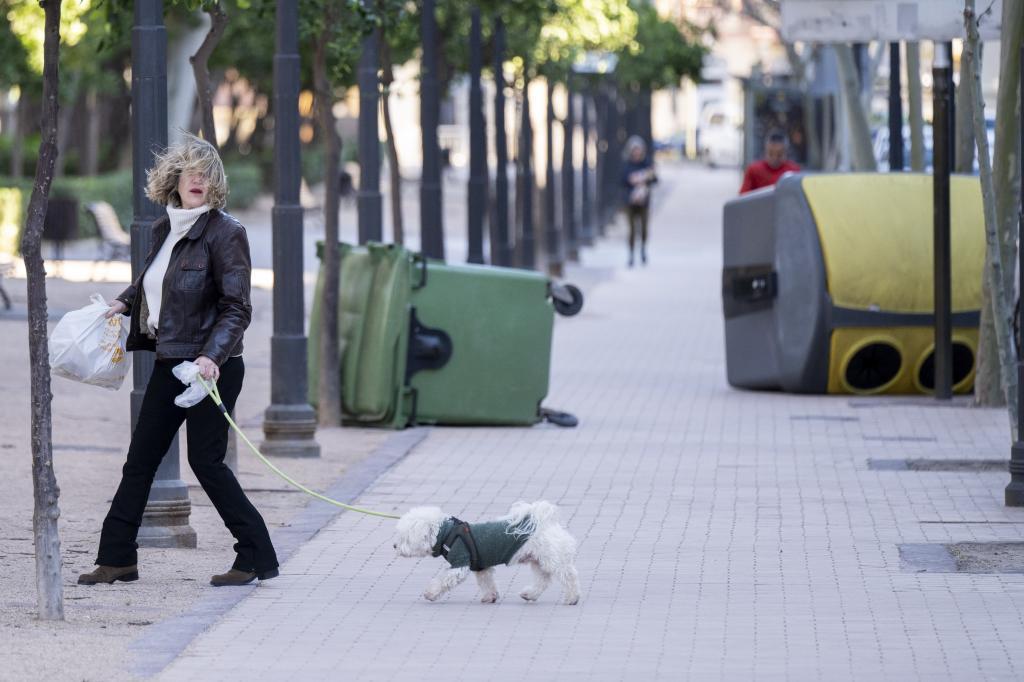 Contenedores derribados por el viento, este sábado en Castellón
