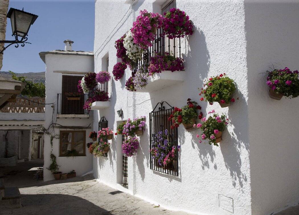 Foto: La ruta de senderismo que une tres bonitos pueblos de La Alpujarra. (Diputación de Granada)