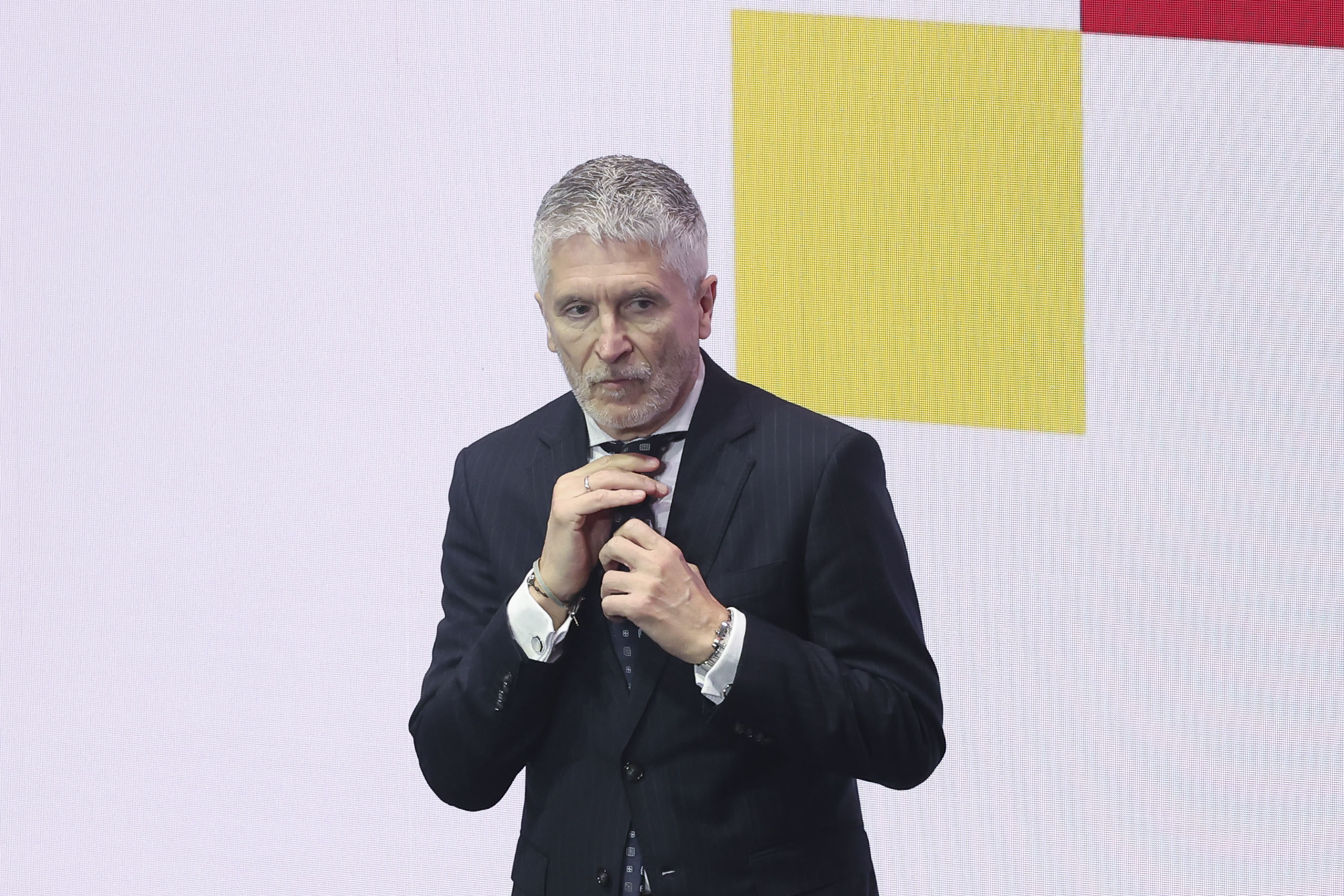 El ministro del Interior, Grande-Marlaska.