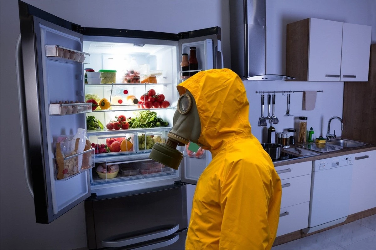 Acha que sua geladeira tem cheiro ruim? Este truque secreto com carvão ativado resolve para sempre - image 1