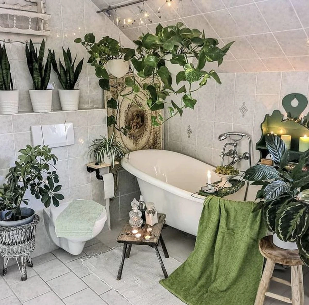 Adiós a la humedad: Pon Sansevieria o Zamioculcas y evita el moho - image 1
