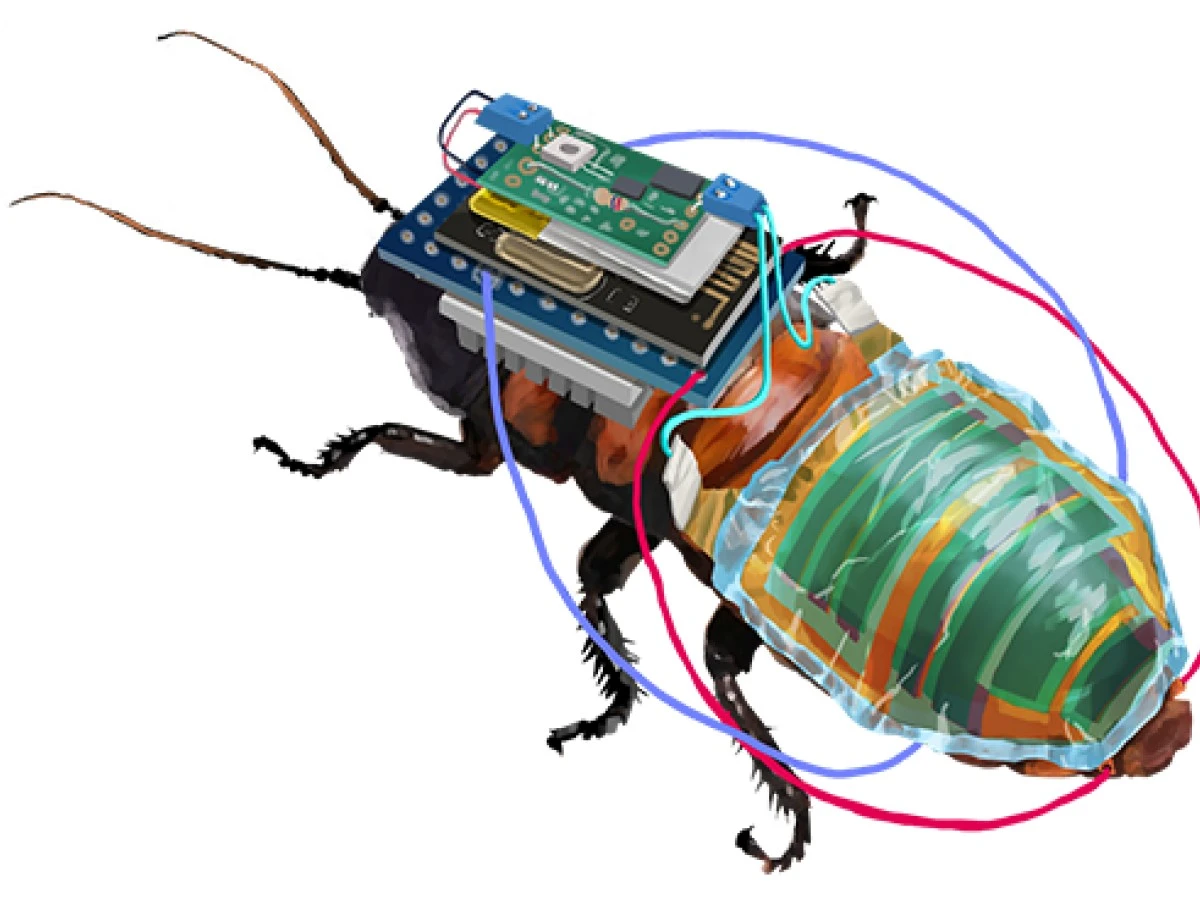Adiós a la limpieza tradicional: el Robot aspirador de Egoism que sobrevive - image 1
