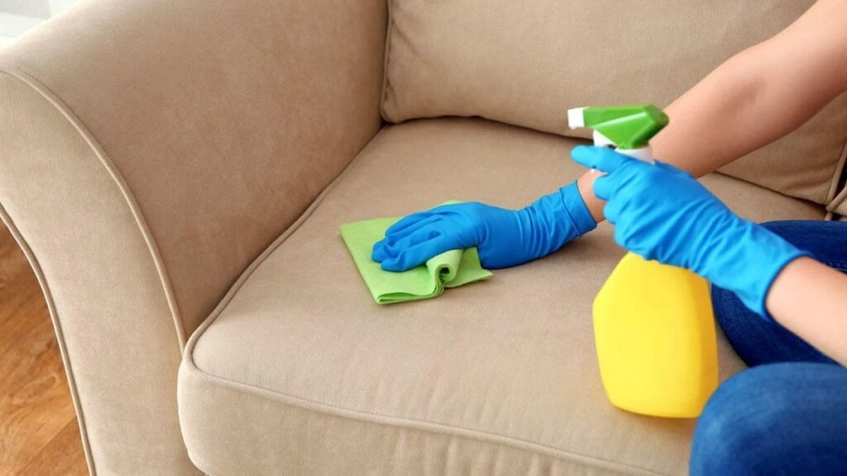 Adiós manchas: la mezcla casera que revivirá tu sofá - image 1