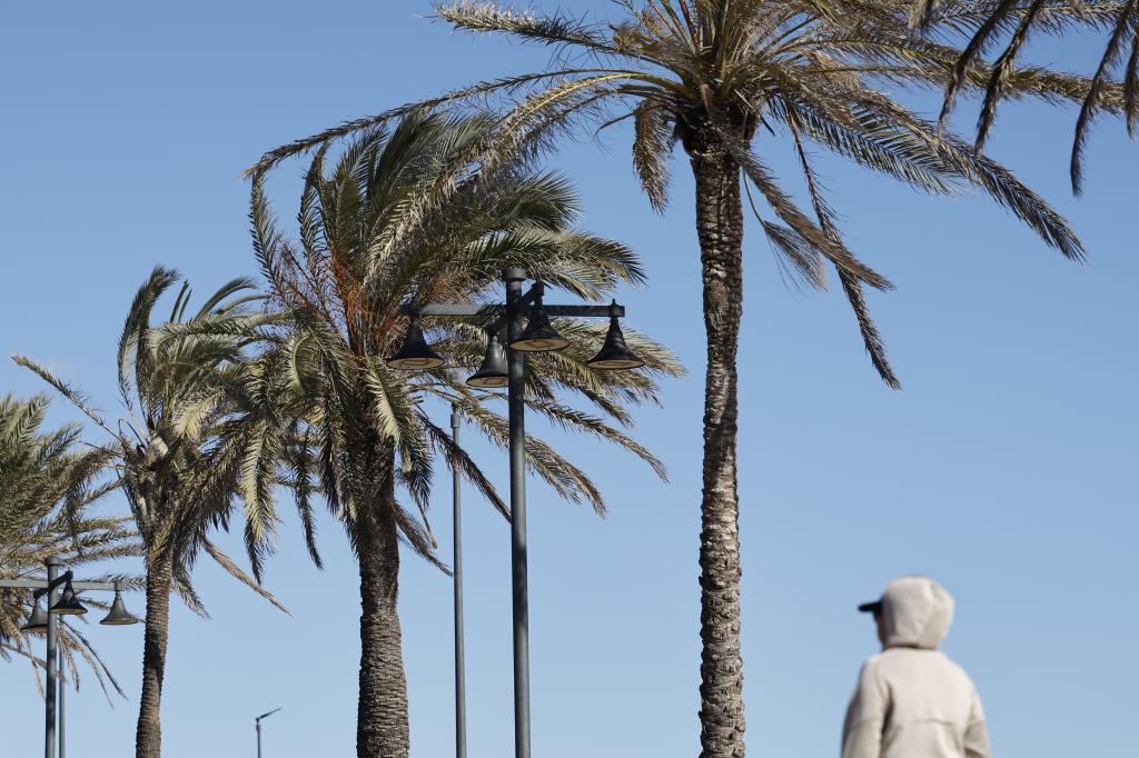 Día de playa en Valencia.