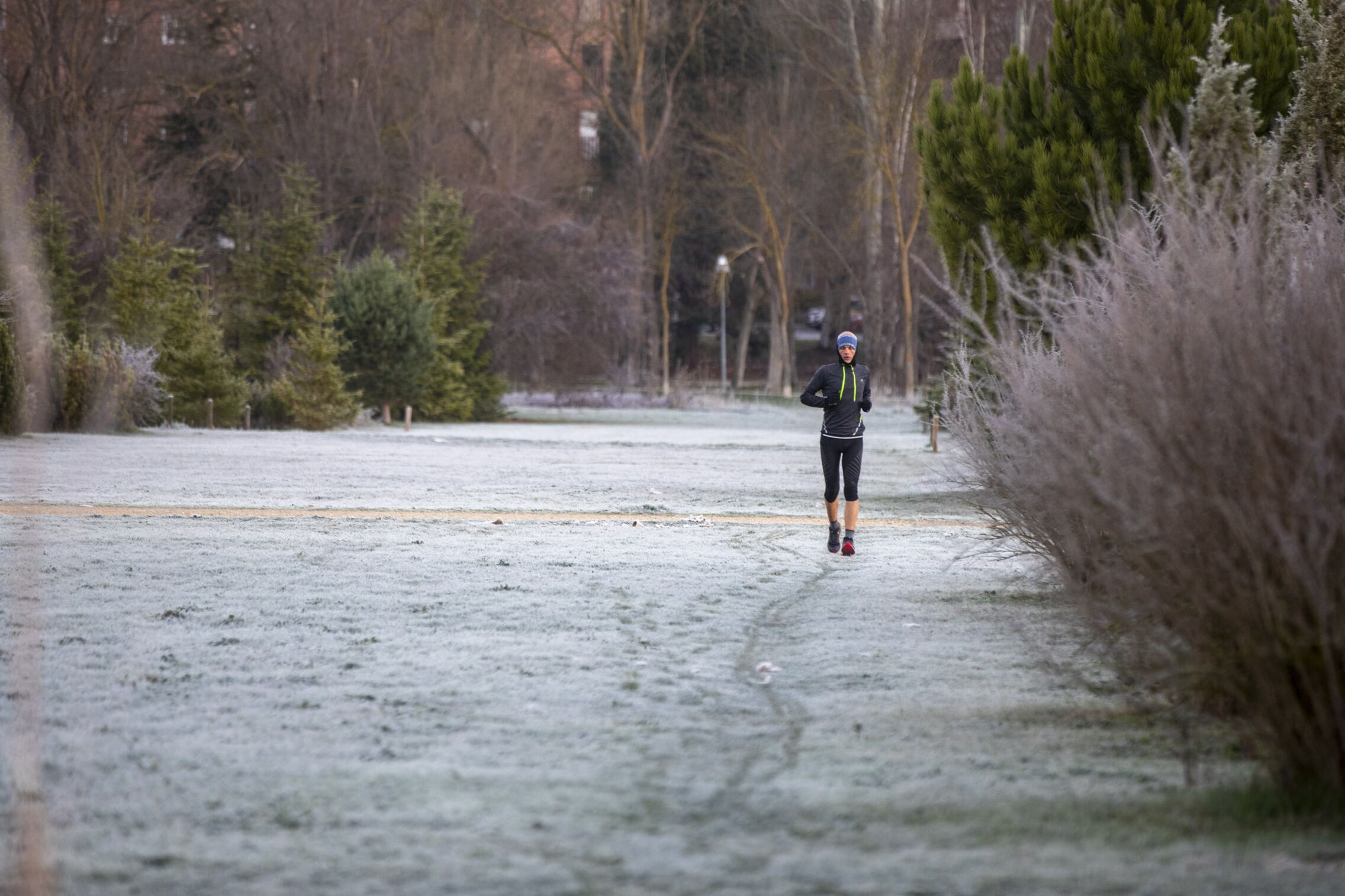 Foto: Un hombre practica deporte en un parque cubierto de escarcha en Vitoria. (EFE/David Aguilar)