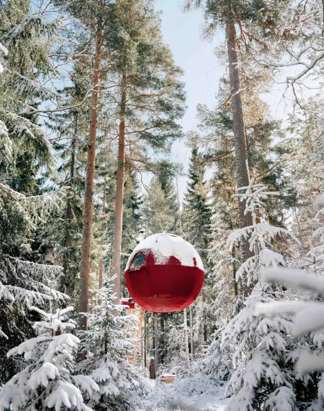 Una esfera roja se erige en la mitad de un bosque de pinos congelado