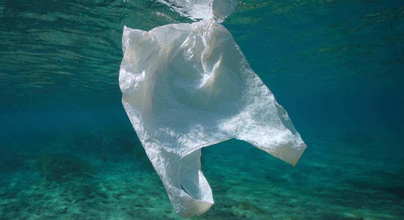 Científicos piensan que deberíamos dejar de limpiar el plástico los océanos debido a este extraño descubrimiento