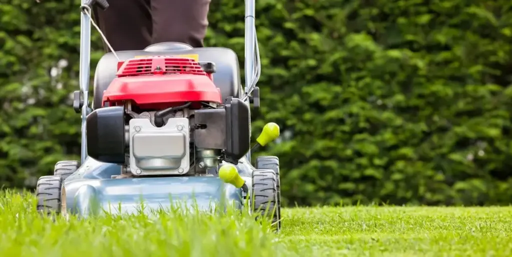 Césped perfecto esta primavera: no lo cortes antes de esta fecha clave