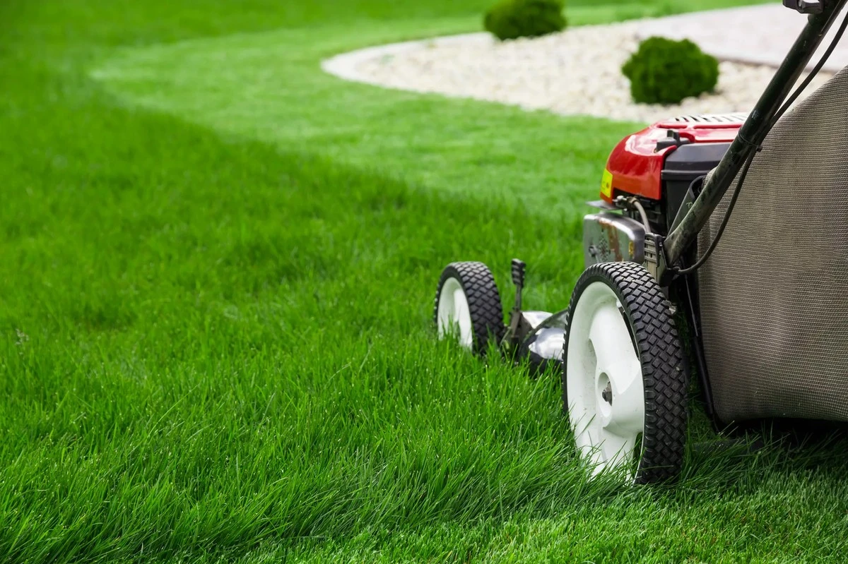 Césped perfecto en 2026: el consejo de Monty Don para no arruinarlo - image 1