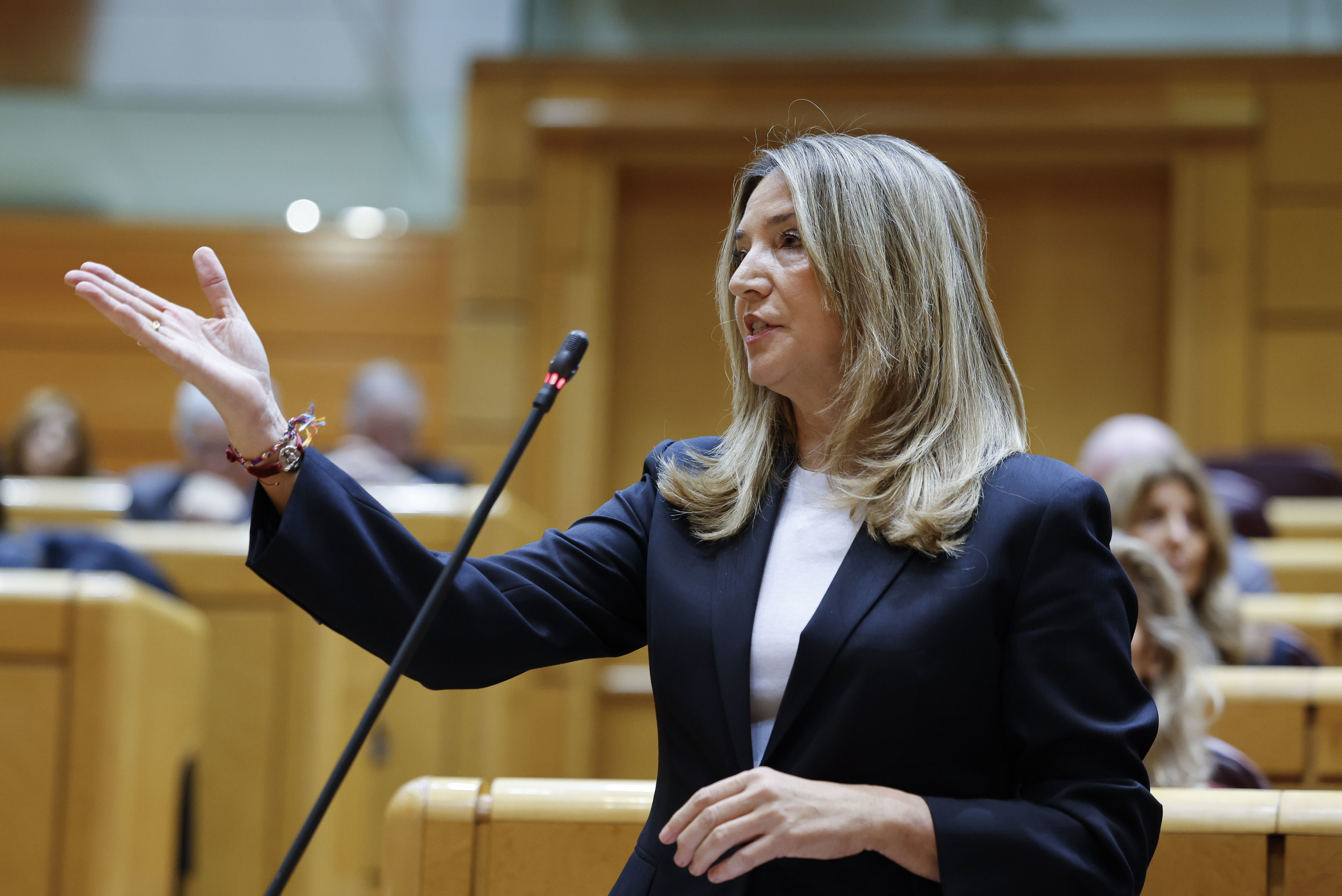 La portavoz del PP en el Senado, Alicia García.