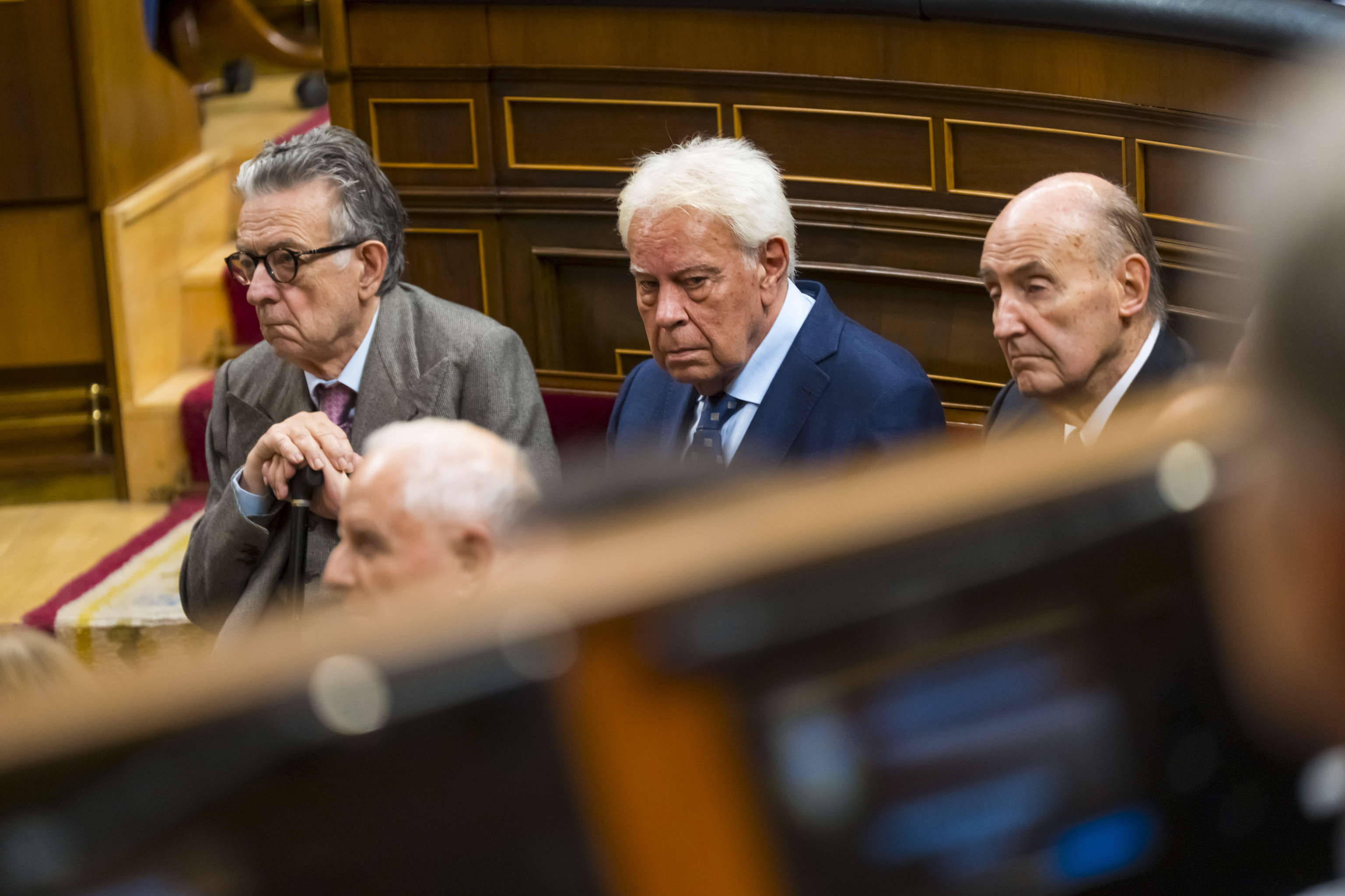 Felipe González, en el Congreso.