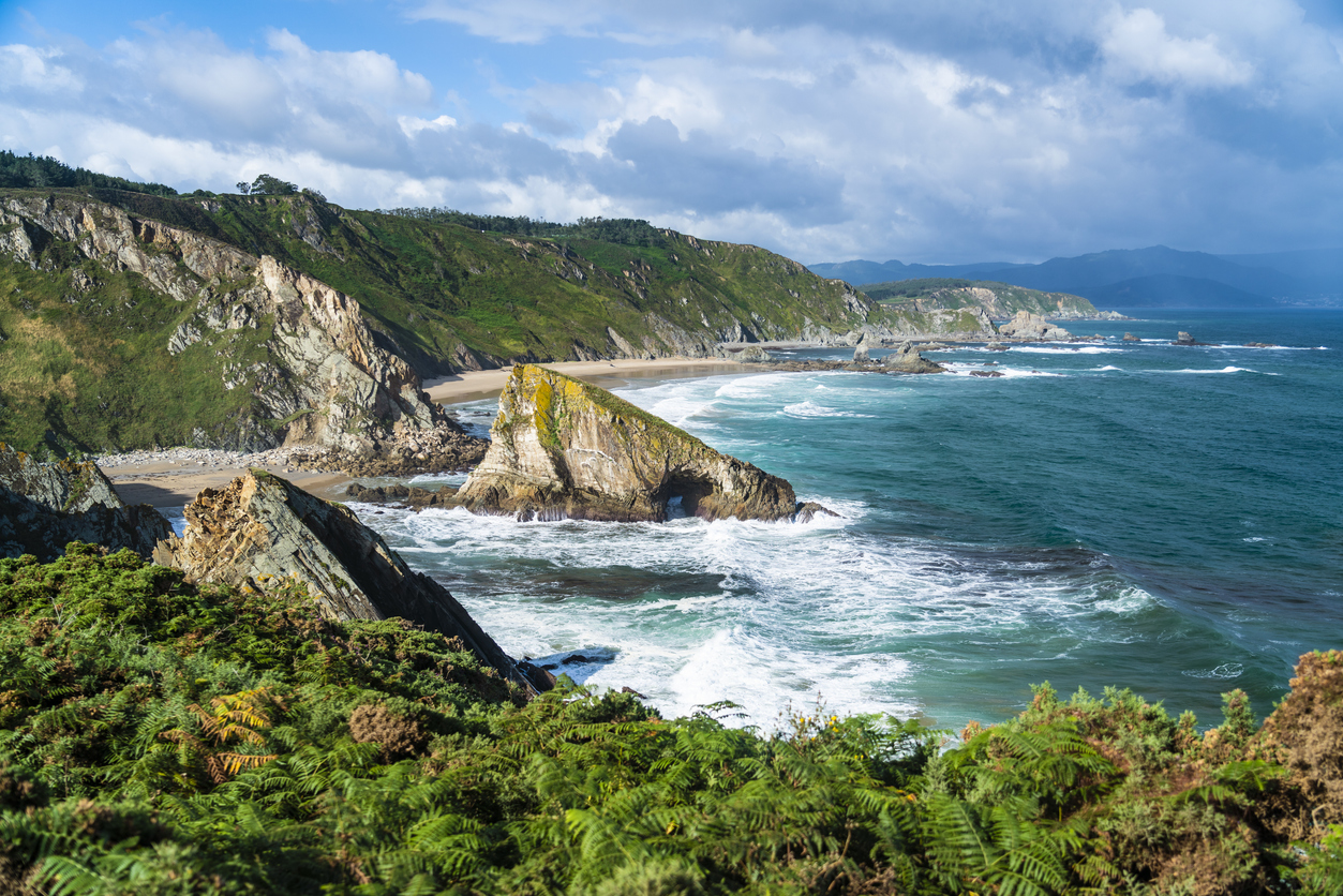 Foto: (Fuente: iStock)