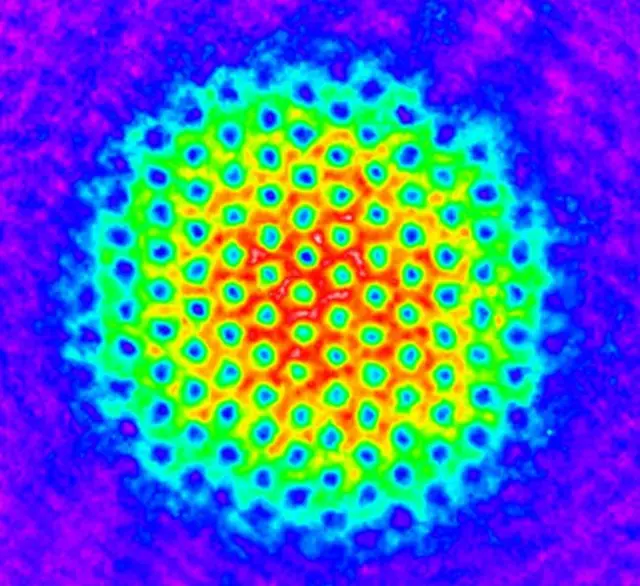 Una red coloreada de vórtices similares a tornados dentro de un condensado de Bose-Einstein giratorio de átomos de rubidio.