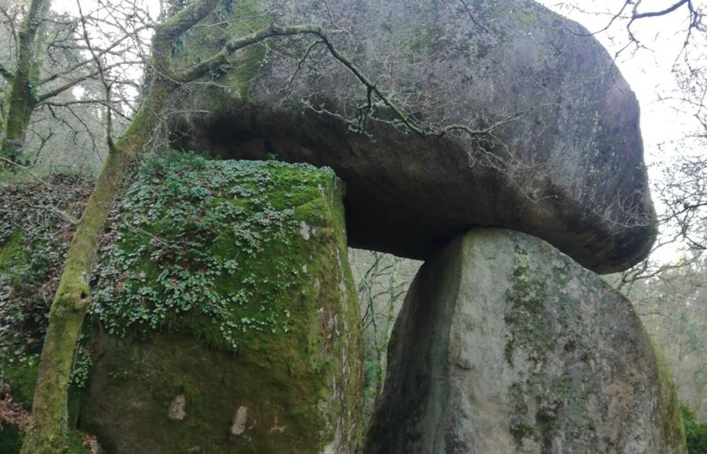 Foto: El capricho de la naturaleza que tienes que ver una vez en la vida en Galicia. (Wikiloc/liliu)