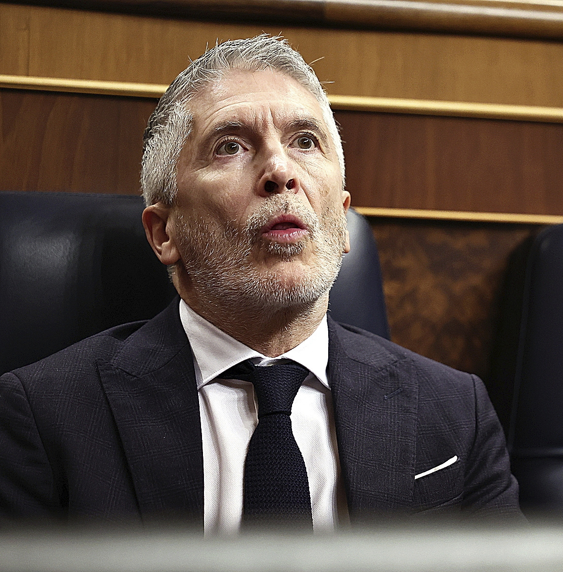 El ministro del Interior, Fernando Grande-Marlaska.