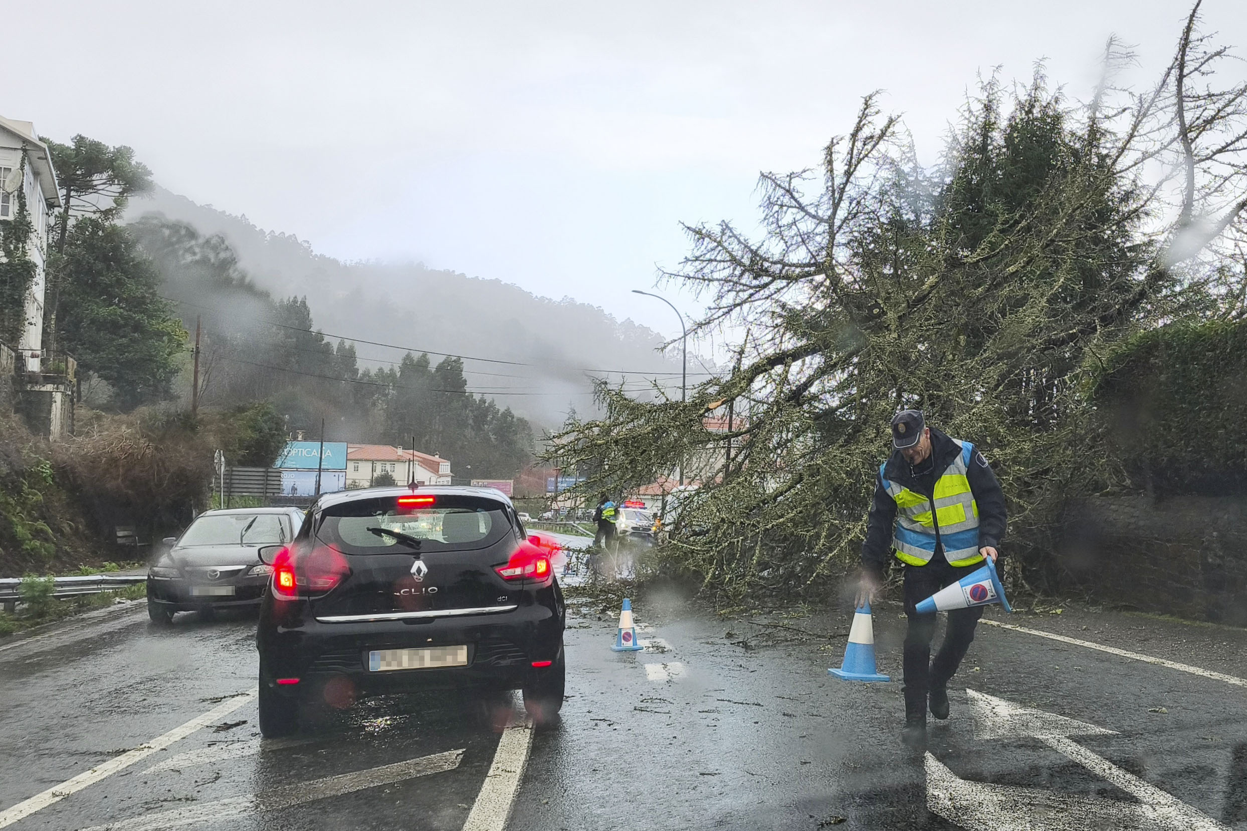 Un agente de la Policía Local de Pontedeume señalizaba este viernes un árbol caído sobre la N-651.