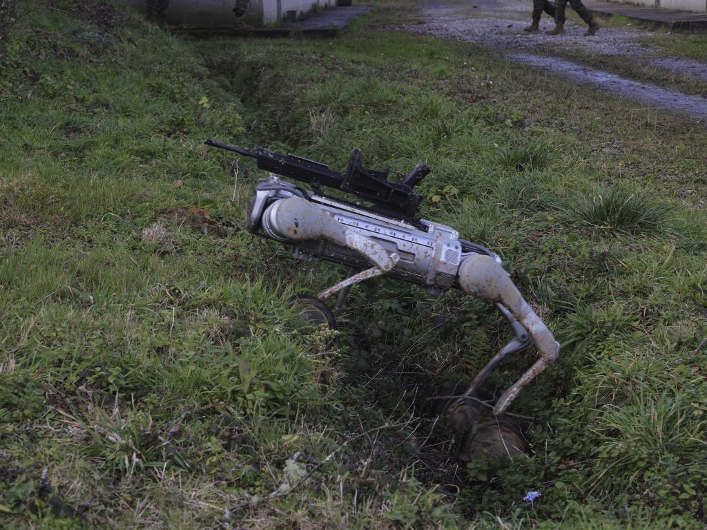 Puesta a prueba del perro robot creado por Alisys Robotics.