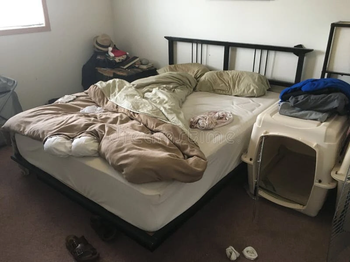 Elimina Ácaros: ventilar la Cama deshecha mejora la Higiene frente a alergias - image 1