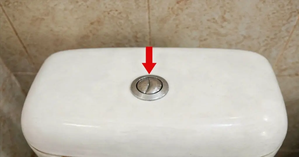 El misterio del doble botón del inodoro: ¿cuál apretar para ahorrar agua?