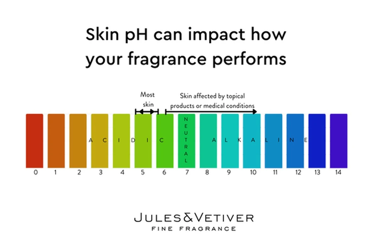 El misterio de tu perfume: ¿Por qué cambia de aroma en tu piel y qué tiene que ver tu comida? - image 1