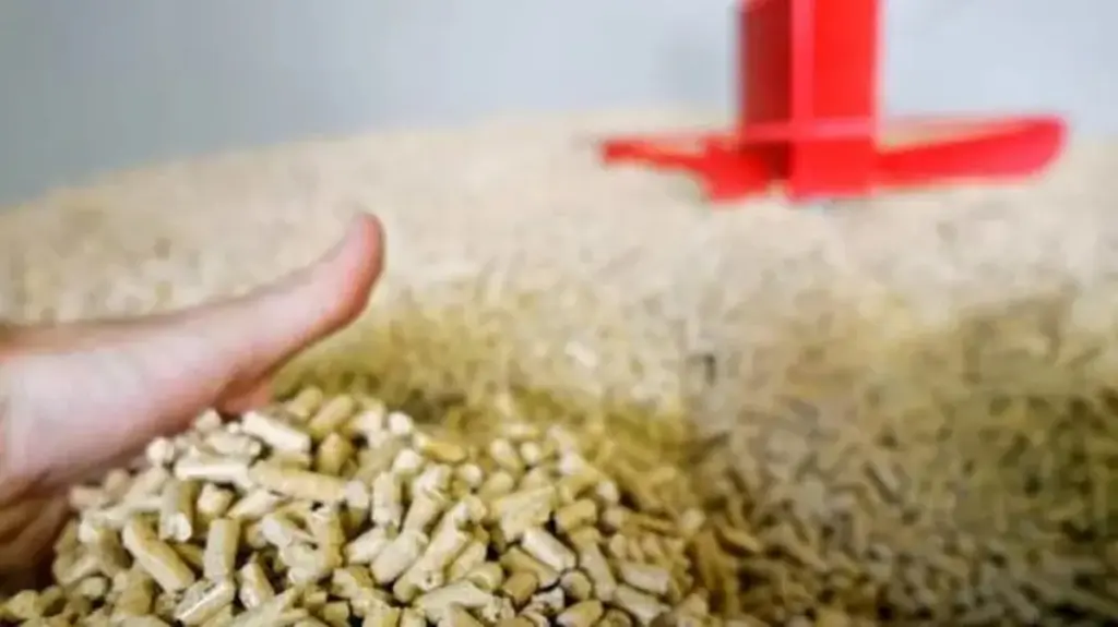 El pellet desaparece y se dispara en precios en Cerdeña: el caso llega a la Fiscalía