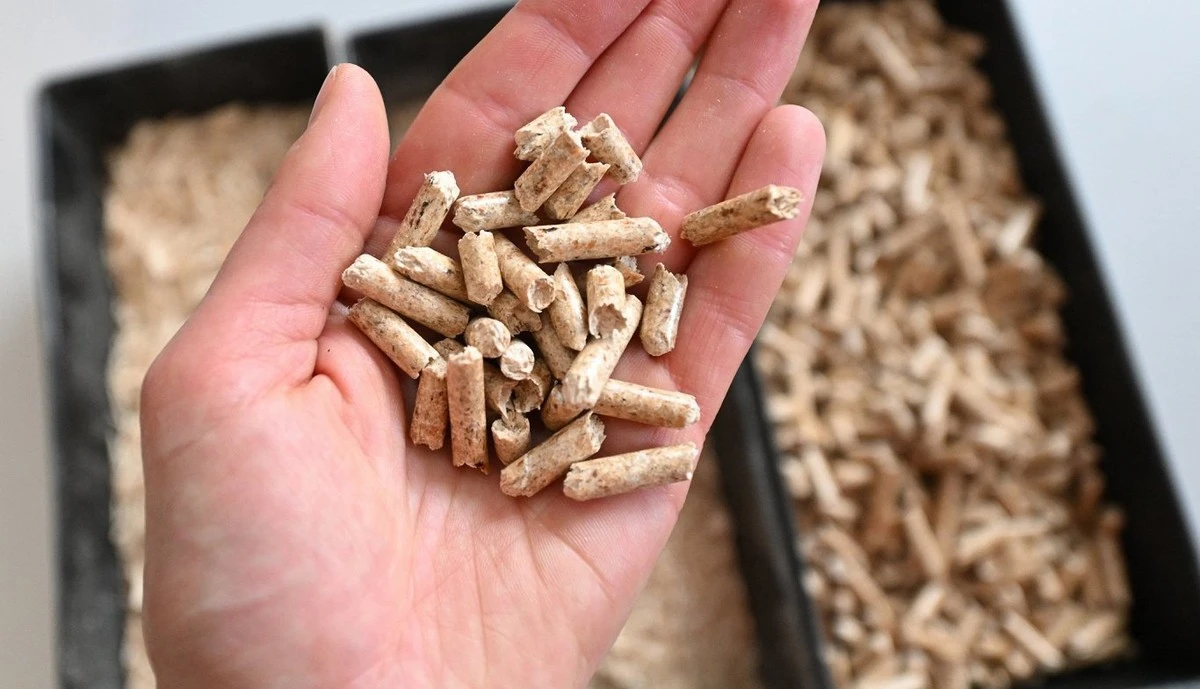 El pellet se desvanece: filas en las tiendas y precios disparados, ¿qué está pasando? - image 1
