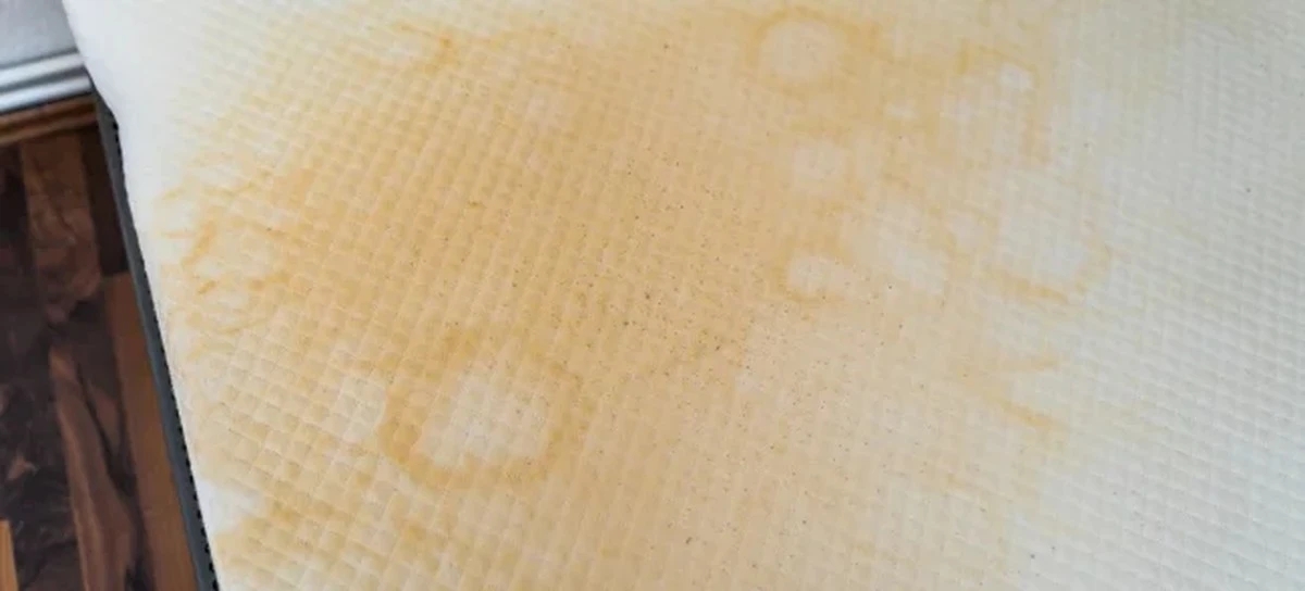 El riesgo invisible en tus sábanas es por el Protector - image 1