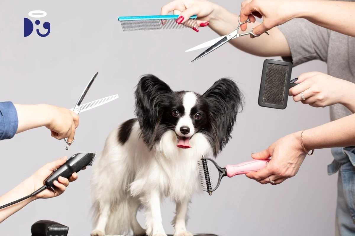 El secreto de los baños perfectos: 4 trucos para una higiene sin riesgos en tu mascota - image 1