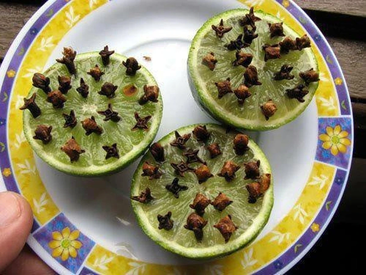 El truco milenario del clavo y el limón que espanta insectos y perfuma tu hogar - image 1