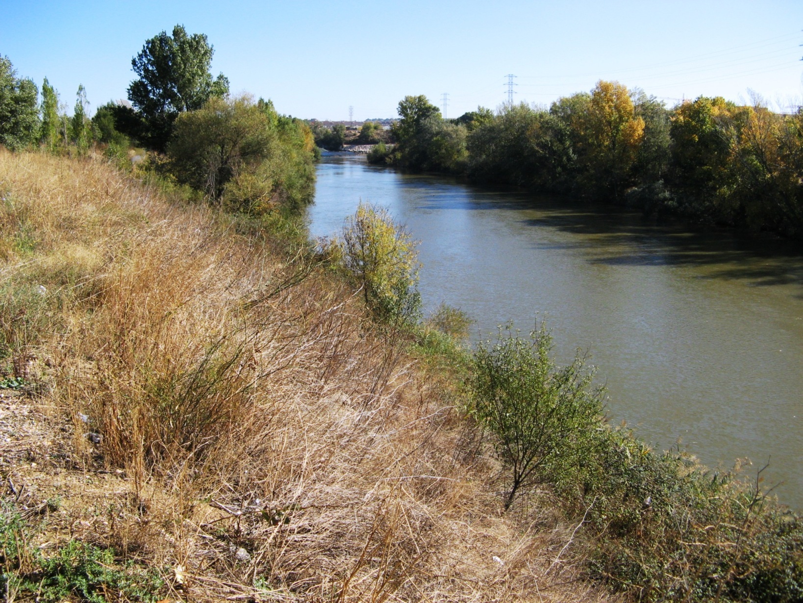Archivo de las riberas del río Pisuerga a su paso por Arroyo de la Encomienda.