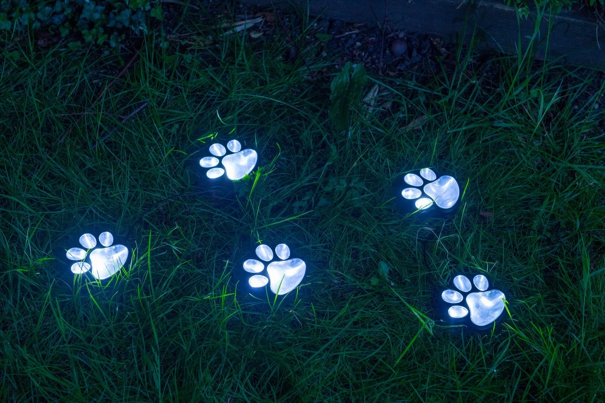 Huellas LED de Firefly Solar Light Co en Home Bargains: guía de 8 horas para mascotas por 3,99€ - image 1