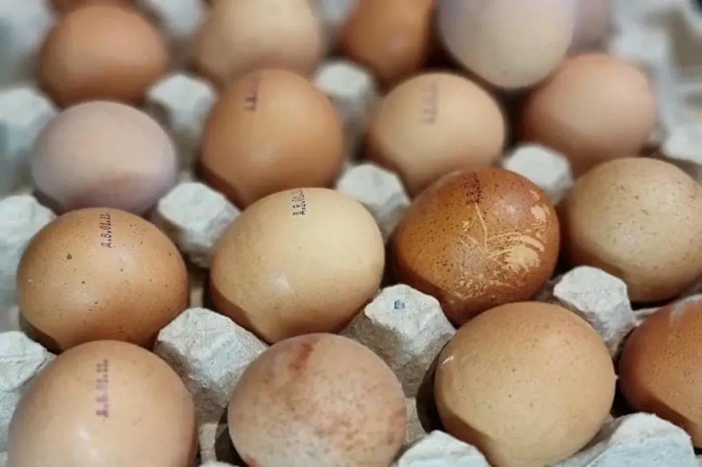 Huevos en el frigorífico: deja de usar la puerta para que duren más