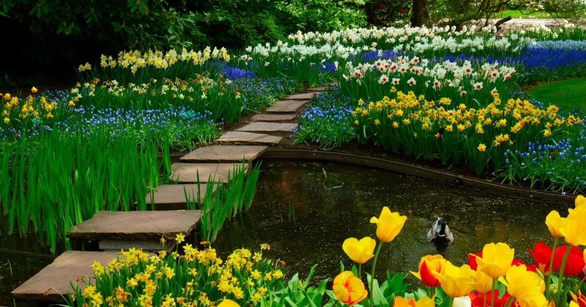 Jardinería sin esfuerzo: 7 plantas perennes para un jardín espectacular este marzo - image 1