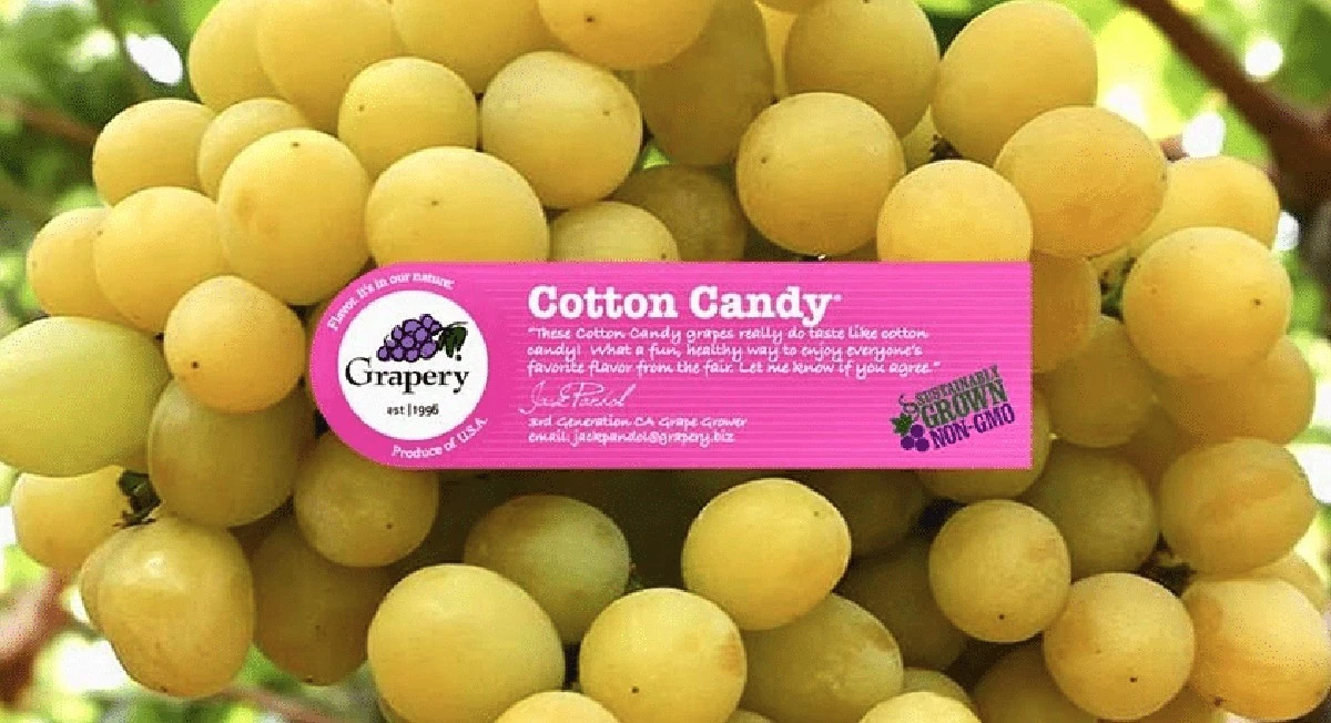 La fruta sin semillas que sabe a caramelo y conquista las loncheras - image 1