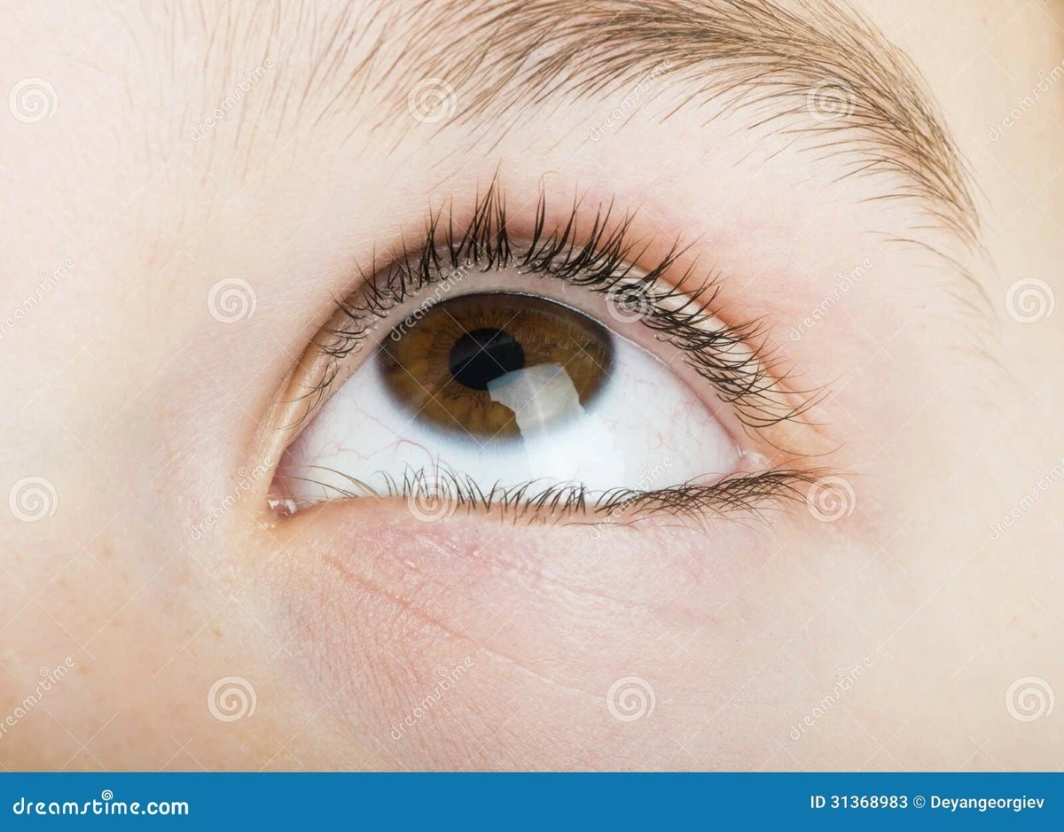 La mirada: el gesto secreto que revela si te mienten en segundos - image 1