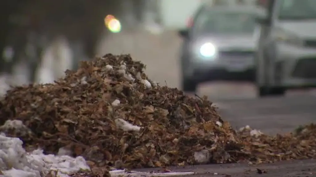Milwaukee Department of Public Works: bolsas compostables y limpieza en Milwaukee evitan inundaciones
