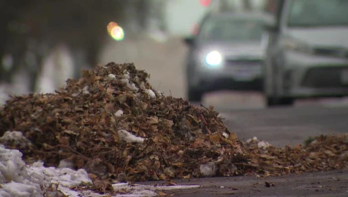 Milwaukee Department of Public Works: bolsas compostables y limpieza en Milwaukee evitan inundaciones - image 1