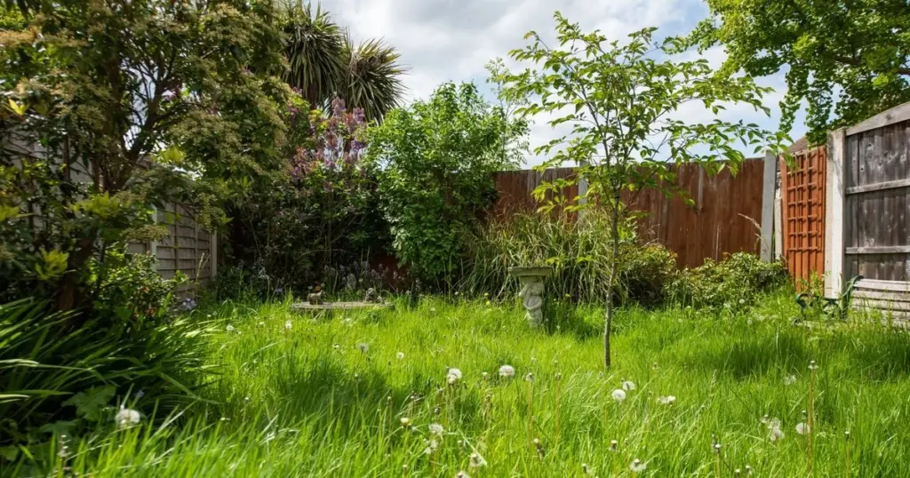 Monty Don y expertos de Irlanda: siega tu césped a 5cm tras el 15 de marzo