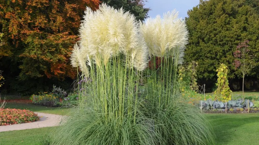 Multas de 150.000€ en tu jardín: Francia y España prohíben estas Especies exóticas invasoras