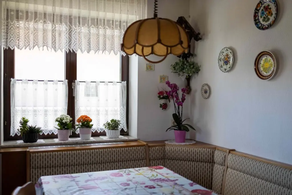 Plantas de interior de abuela: el secreto de The Spruce para un hogar moderno