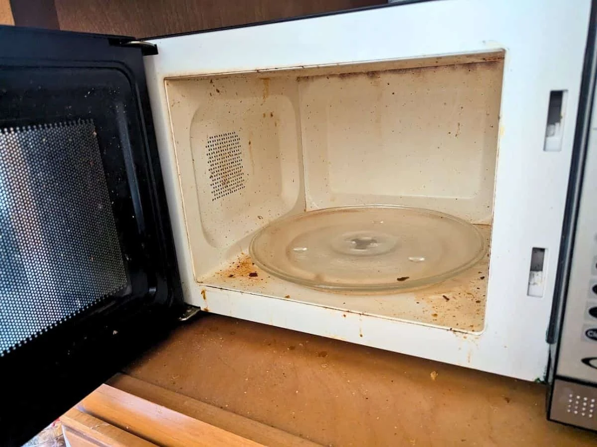 Por qué deberías dejar de limpiar el interior del microondas con toallitas húmedas - image 1
