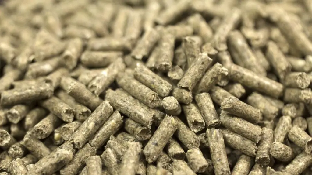 Por qué los dueños de estufas están cambiando los pellets por la cáscara de trigo sarraceno