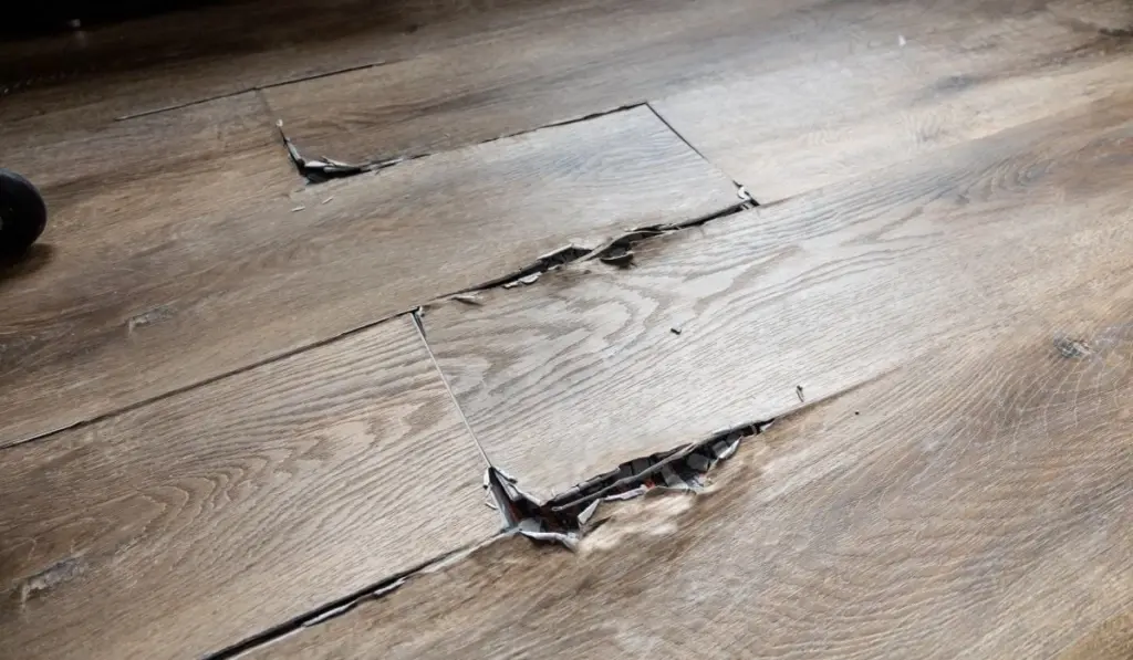 Por qué los expertos prefieren poner suelo SPC en lugar de laminado