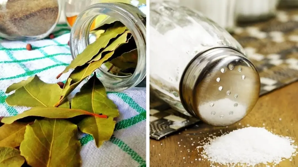 Por qué los expertos en limpieza ponen hojas de laurel con bicarbonato en los armarios