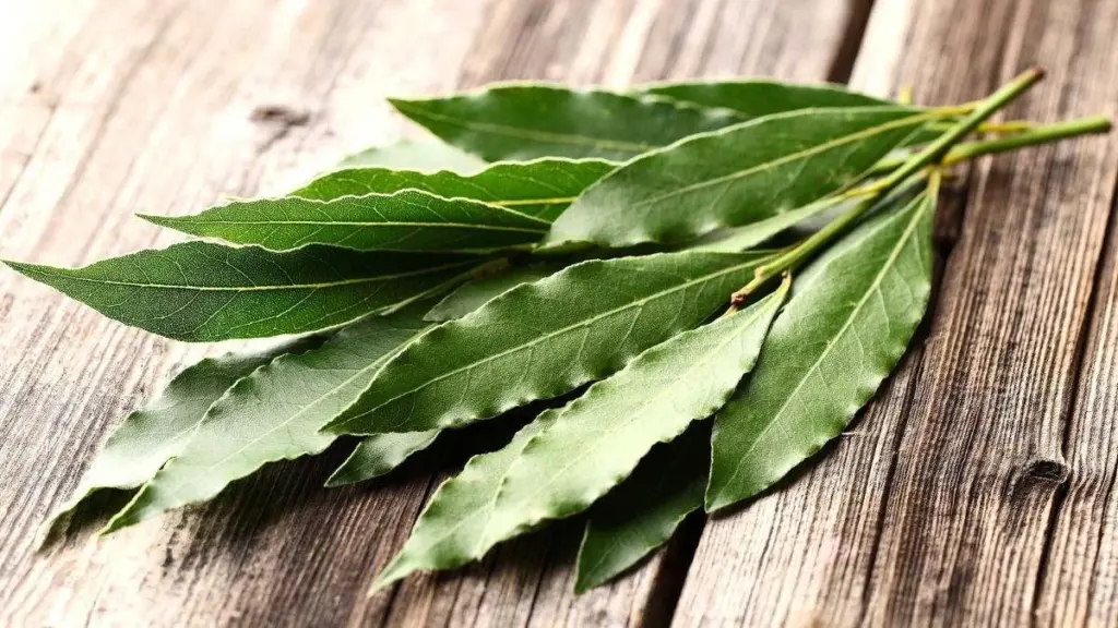 Por qué los expertos en limpieza ponen una hoja de laurel detrás de la puerta